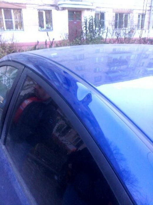 Об угонах автомобилей и работе нашей полиции