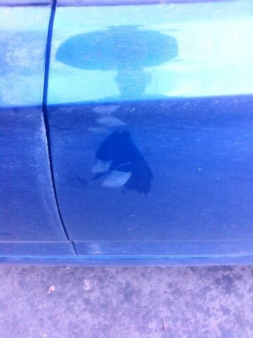 Об угонах автомобилей и работе нашей полиции