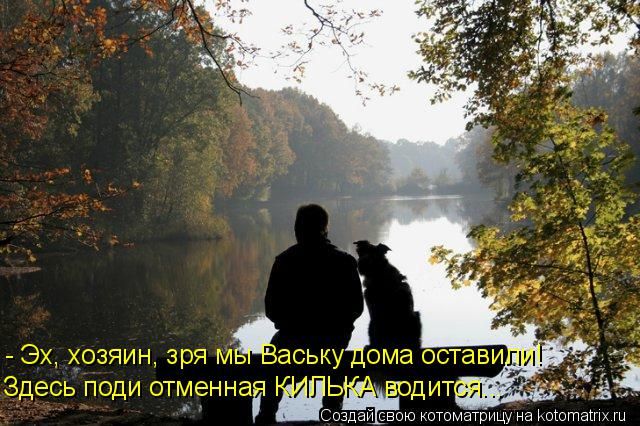 Лучшие котоматрицы недели