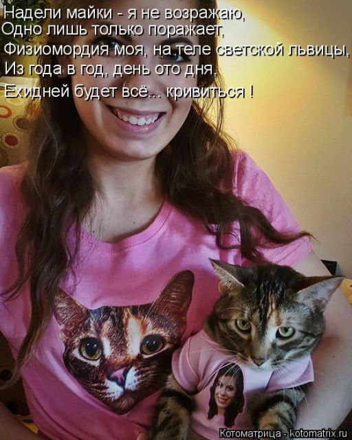 Лучшие котоматрицы недели