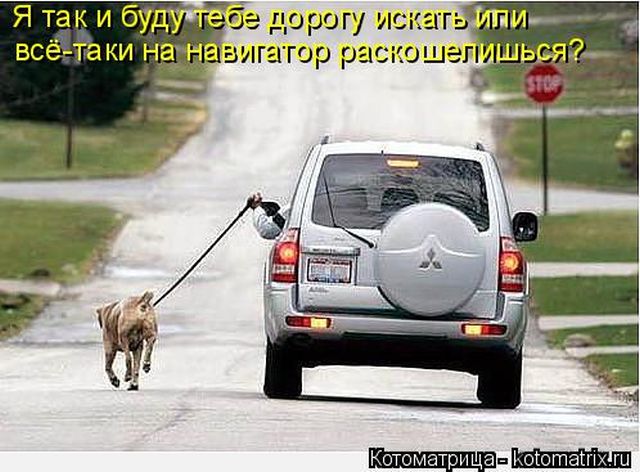 Лучшие котоматрицы недели