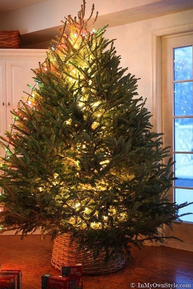 Полезные новогодние хитрости Полезные новогодние хитрости