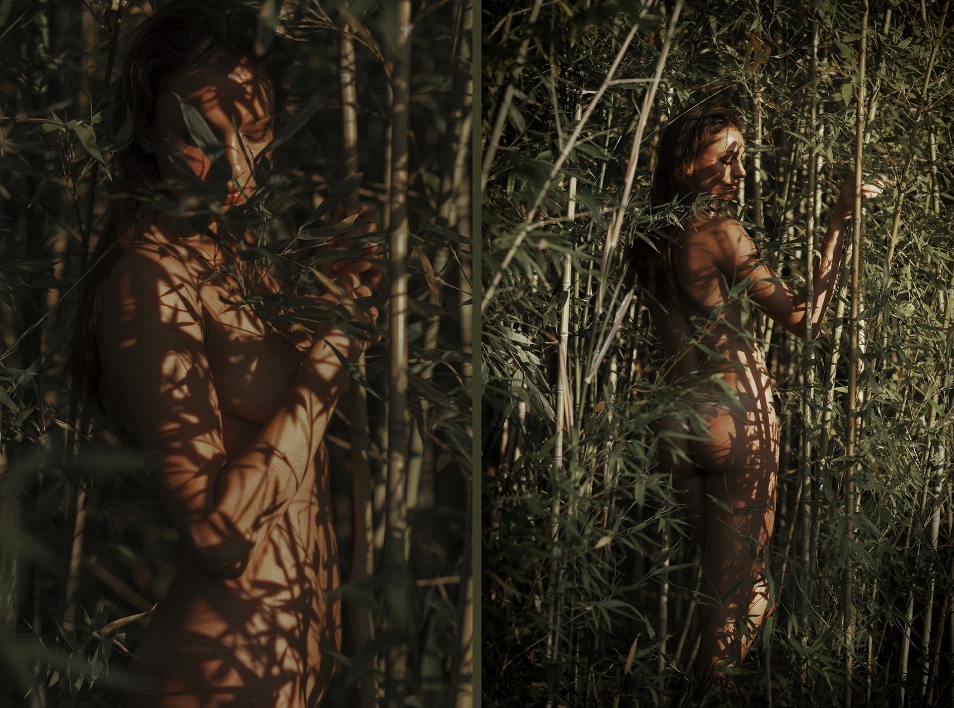 Лесные нимфы +16