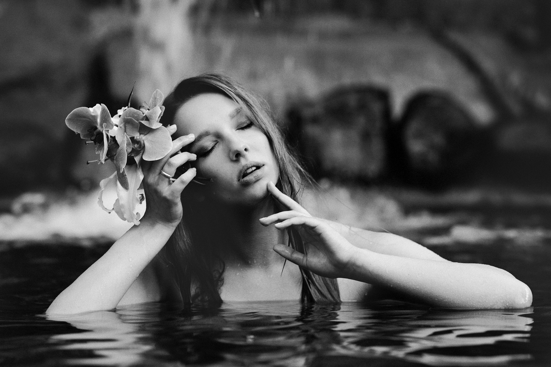 Лесные нимфы +16