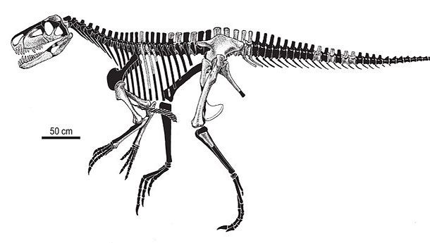 Гиганты древности, которые наводили ужас