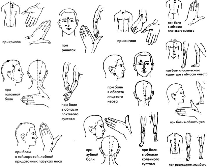 На что способна «Звездочка»