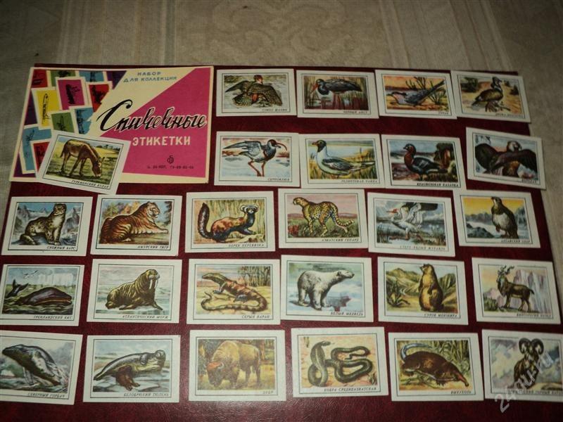 Воспоминания из СССР: что собирали дети