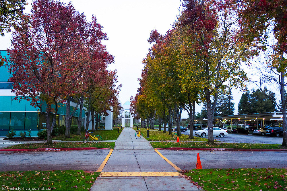 Офис Google в Силиконовой долине