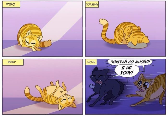 Смешные комиксы