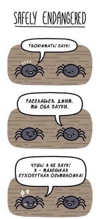 Смешные комиксы