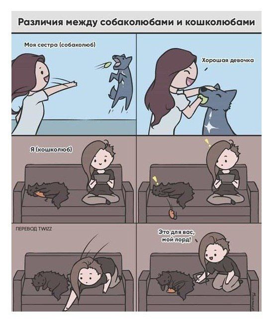 Смешные комиксы