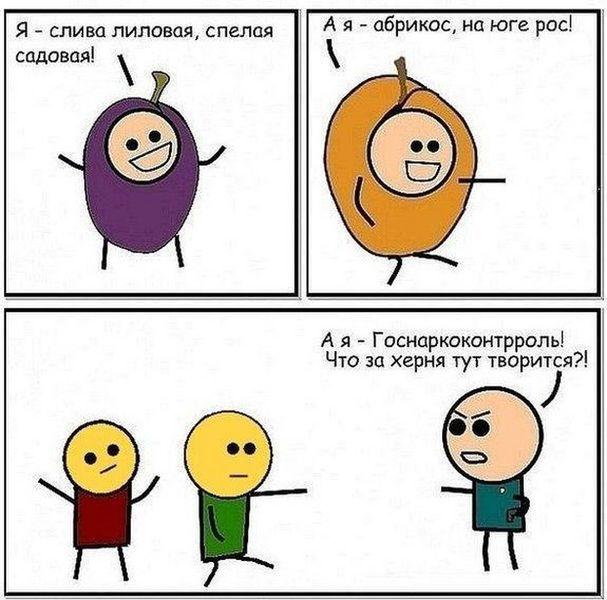 Прикольные картинки