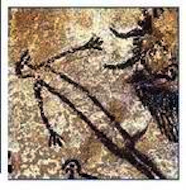 Факты о презервативах (8 фото)