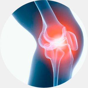 Ошибки эволюции в развитии человека (11 фото) Ошибки эволюции в развитии человека (11 фото)