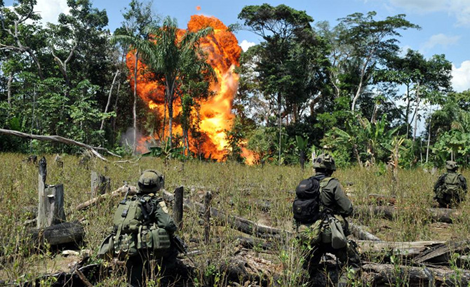 Самые крупные наркооперации в истории Самые крупные наркооперации в истории