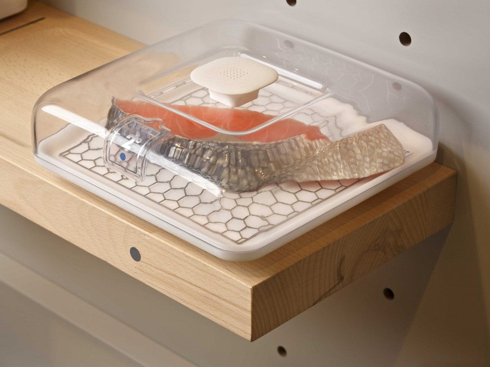 Кухни будущего Кухни будущего