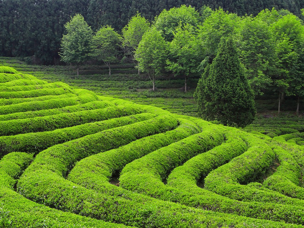 15 причин посетить Южную Корею 15 причин посетить Южную Корею