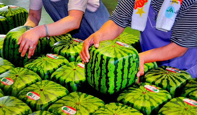 «Ох уж эти затейливые японцы!», или что вы можете отведать, побывав в прекрасной стране? «Ох уж эти затейливые японцы!», или что вы можете отведать, побывав в прекрасной стране?