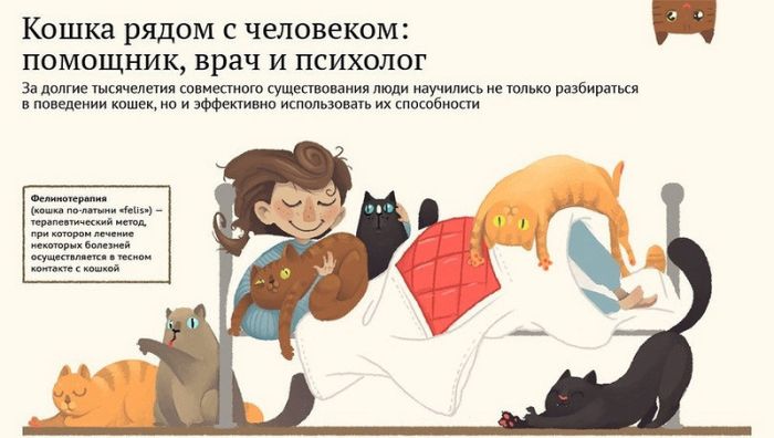 Иконографика о кошках