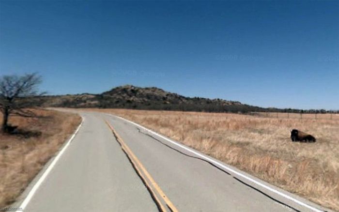 Странные фотографии с Google Street. Часть 2