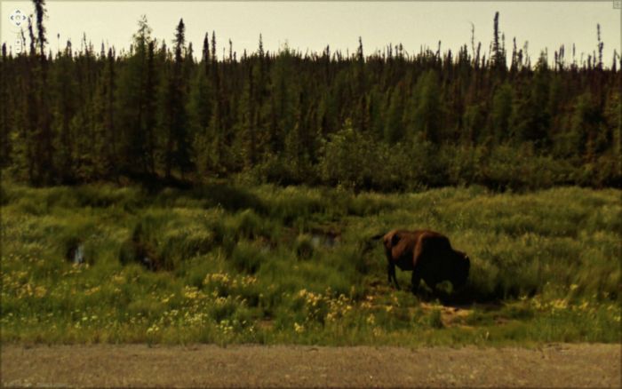 Странные фотографии с Google Street. Часть 2