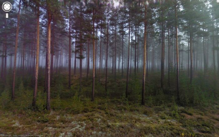 Странные фотографии с Google Street. Часть 2