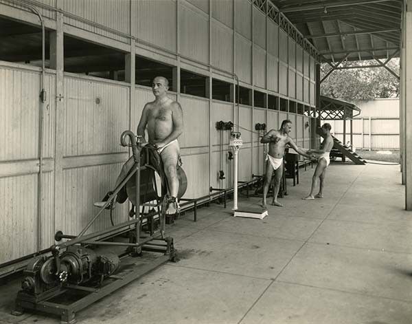 Удивительные изобретения доктора Келлога