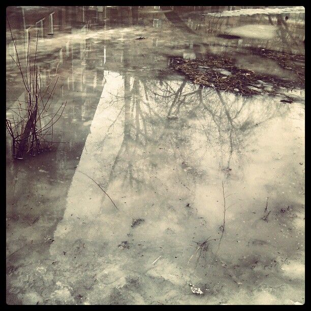 Как весна приходит в Москву (5 фото)