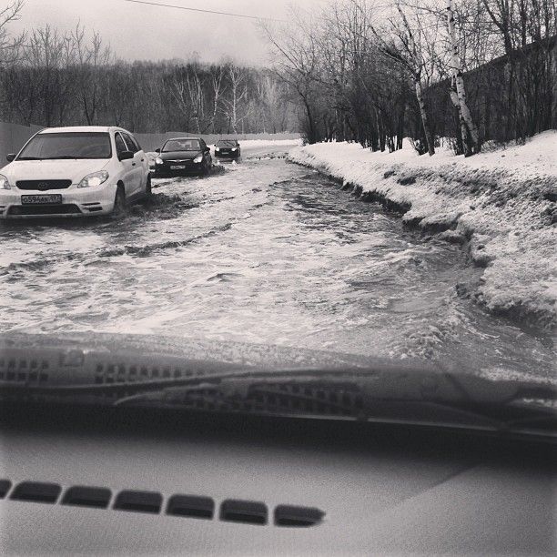 Как весна приходит в Москву (5 фото)