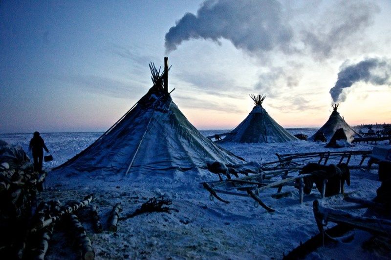 Жители Полярного Круга (23 фото)