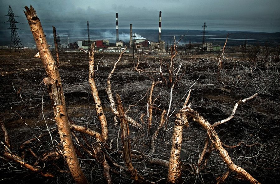 Жители Полярного Круга (23 фото)