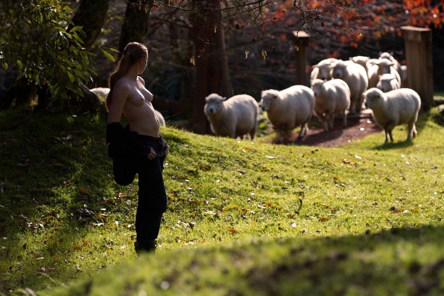 Забавная эротика