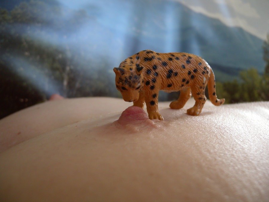 Забавная эротика