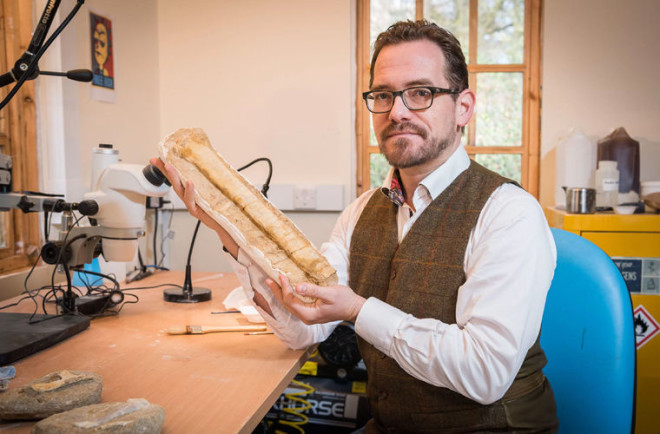 Ученые выяснили, кто был главным на планете 200 млн лет назад