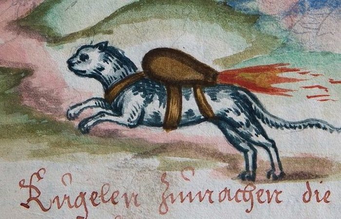 Искусство войны: самые необычные осадные тактики