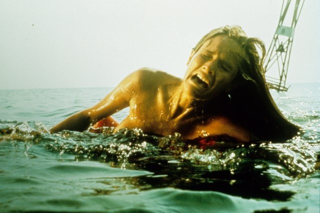 История акулы, державшая в страхе всё Атлантическое побережье История акулы, державшая в страхе всё Атлантическое побережье