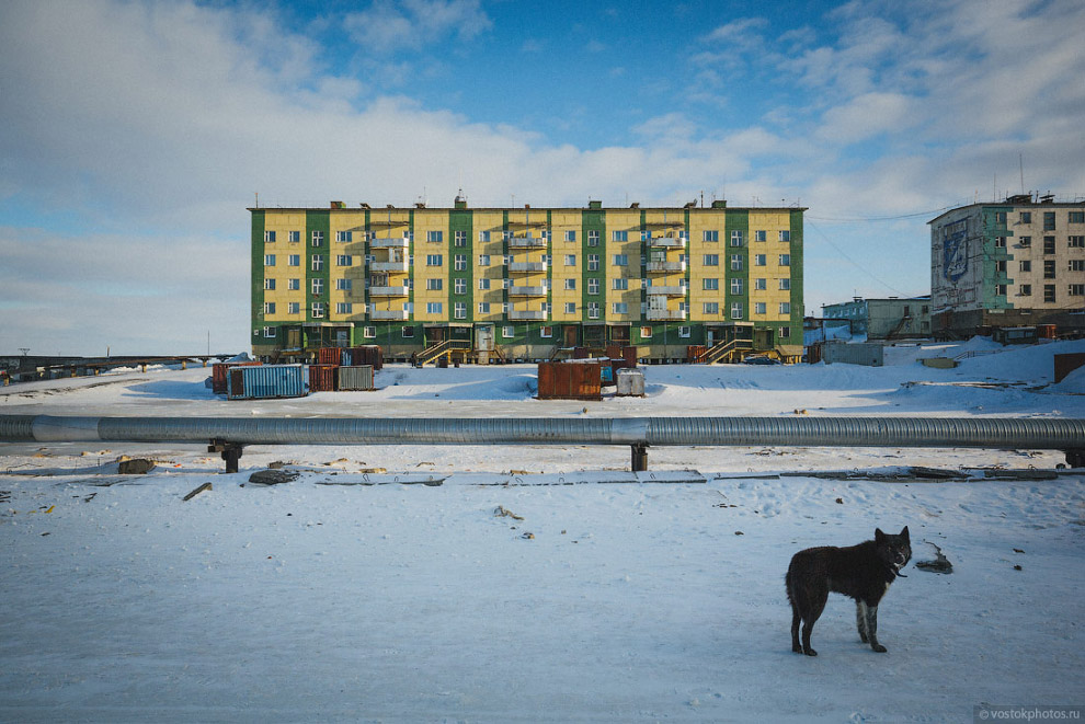 Жизнь на краю земли. Тикси, Якутия