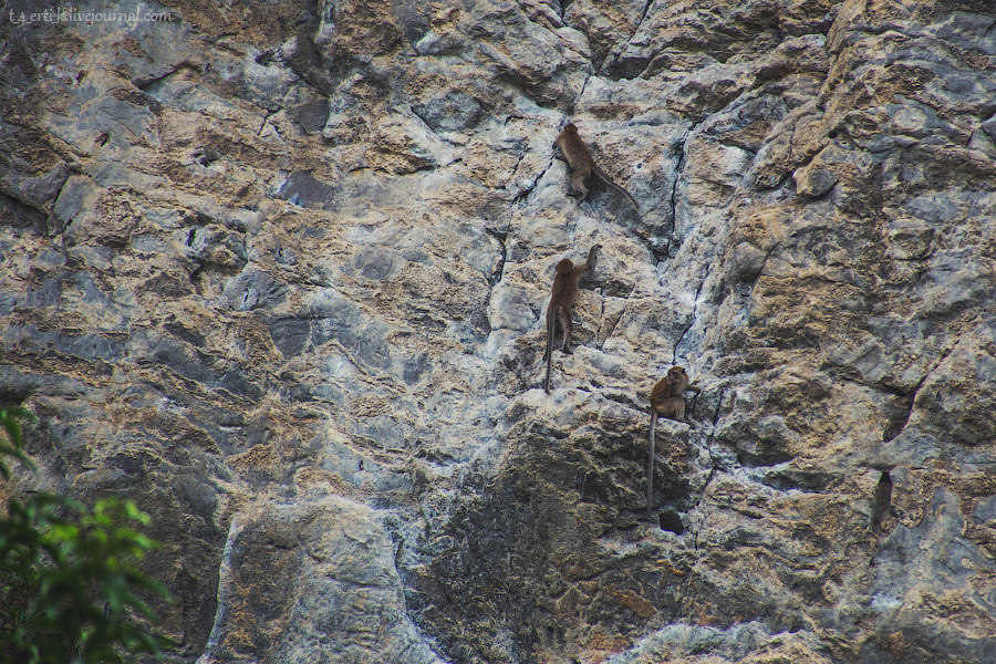 Краби. Полуостров Рейли