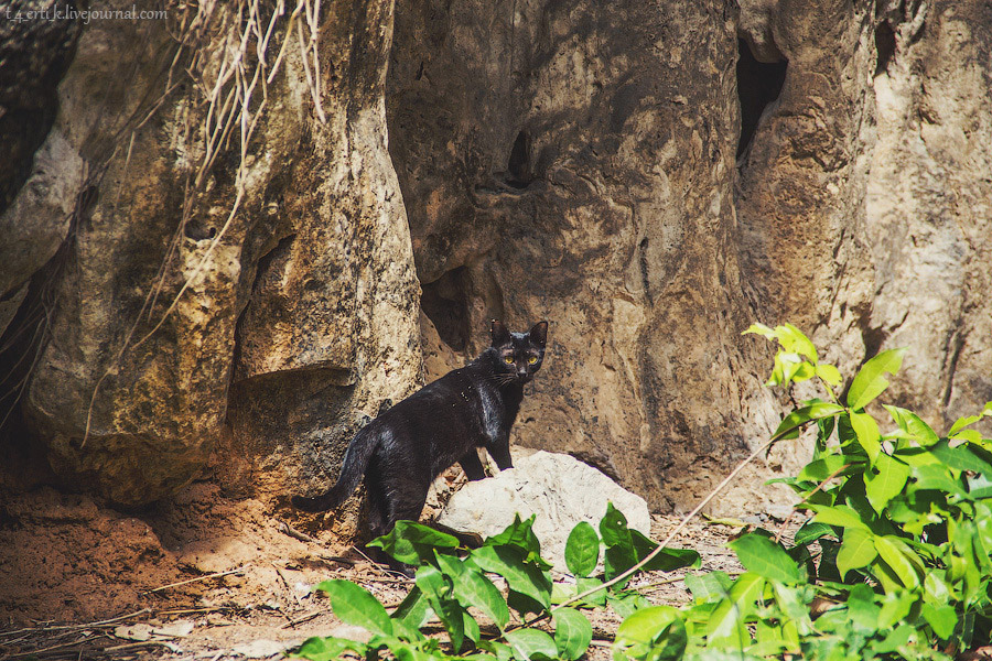 Краби. Полуостров Рейли
