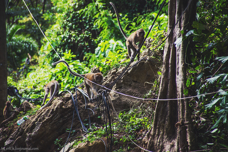 Краби. Полуостров Рейли