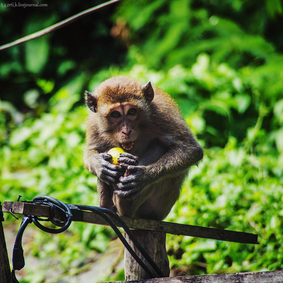 Краби. Полуостров Рейли
