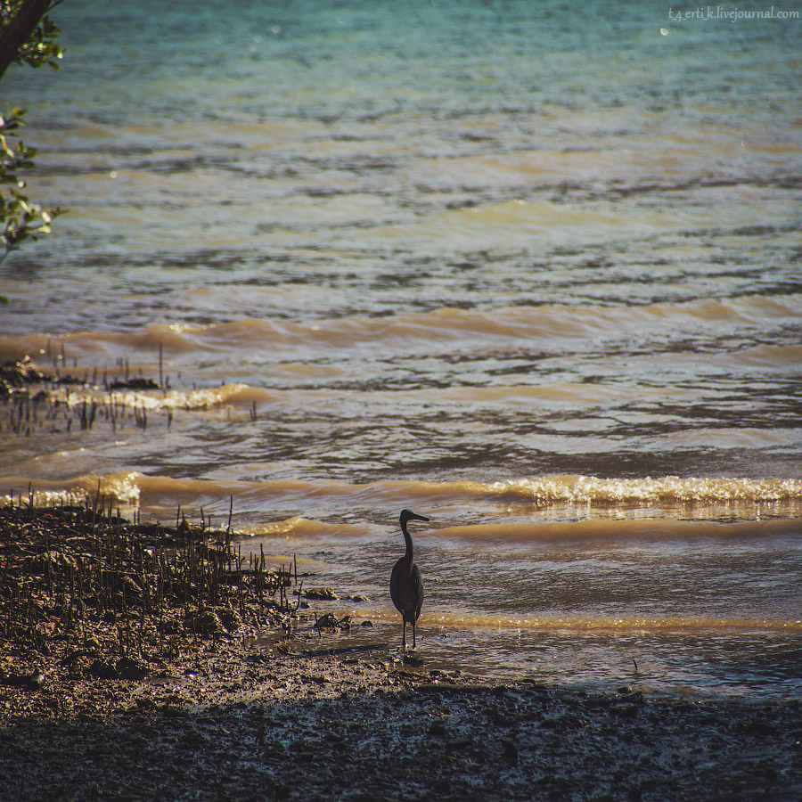 Краби. Полуостров Рейли