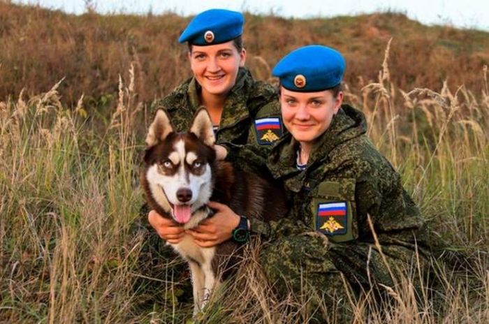 Очаровательные девушки в форме