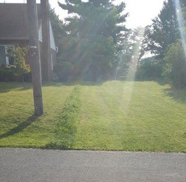 Соседские приколы