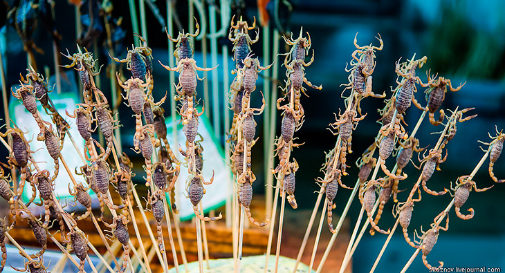 Гастрономический Китай Гастрономический Китай