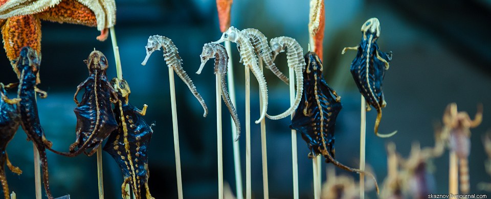 Гастрономический Китай Гастрономический Китай