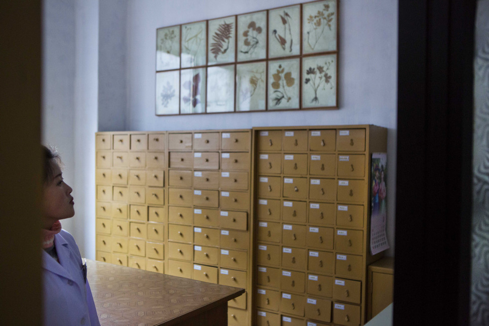 Традиционная медицина в Северной Корее