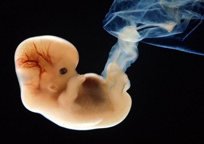 Фантастические технологии, которые станут реальными в ближайшие десятилетия