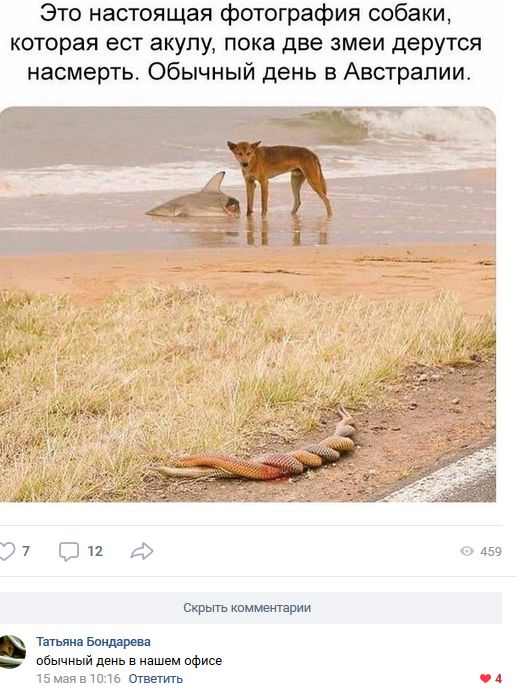 Подборка приколов из социальных сетей