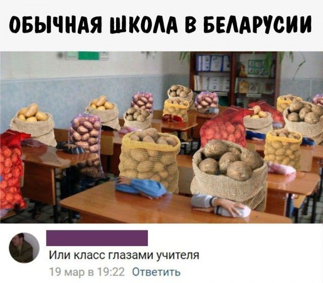 Подборка приколов из социальных сетей